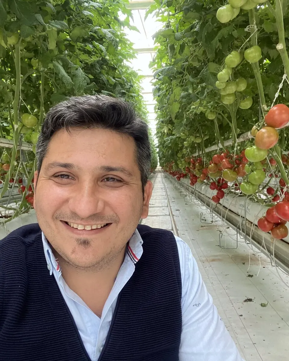 Ramazan Yıldırım, Afyonkarahisar'da domates serasında