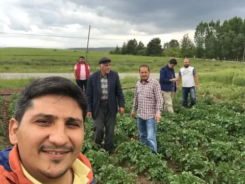 Sandıklı, Afyonkarahisar saha ziyareti (Mayıs 2016) — patates
