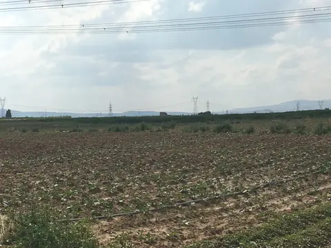Afyonkarahisar Merkez, Afyonkarahisar saha ziyareti (Temmuz 2016) — patates