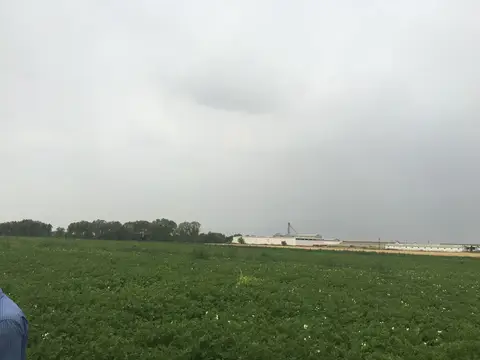 Afyonkarahisar saha ziyareti (Temmuz 2016) — patates
