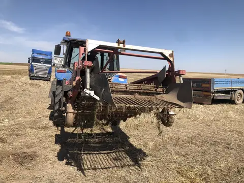 Emirdağ, Afyonkarahisar saha ziyareti (Eylül 2019) — patates
