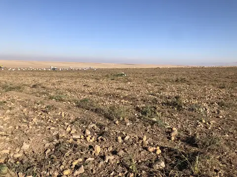 Afyonkarahisar saha ziyareti (Ekim 2019) — genel saha