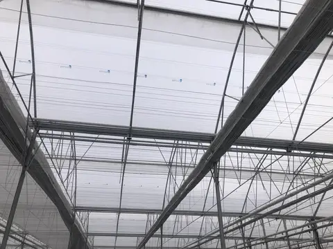 Afyonkarahisar saha ziyareti (Aralık 2019) — sera
