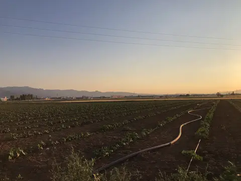 Afyonkarahisar Merkez, Afyonkarahisar saha ziyareti (Temmuz 2020) — kabak