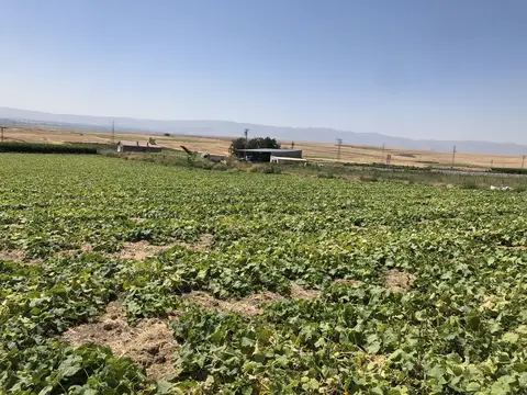 Afyonkarahisar Merkez, Afyonkarahisar saha ziyareti (Eylül 2020) — genel saha
