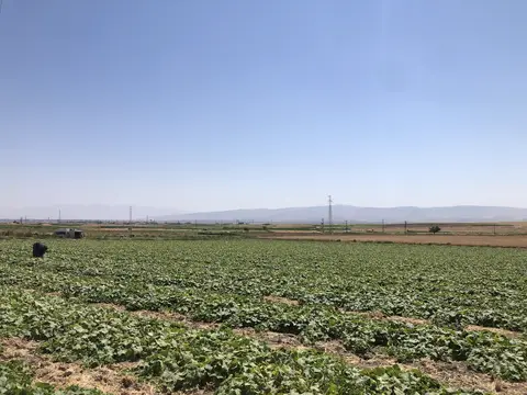 Afyonkarahisar Merkez, Afyonkarahisar saha ziyareti (Eylül 2020) — genel saha
