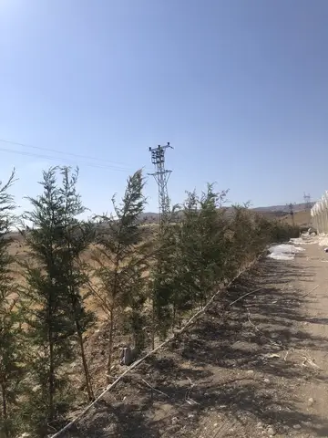 Afyonkarahisar Merkez, Afyonkarahisar saha ziyareti (Eylül 2020) — genel saha