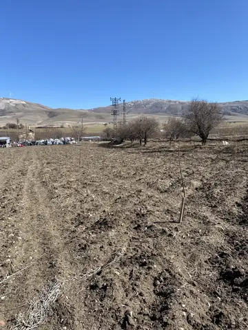 Sandıklı, Afyonkarahisar saha ziyareti (Mart 2021) — sera