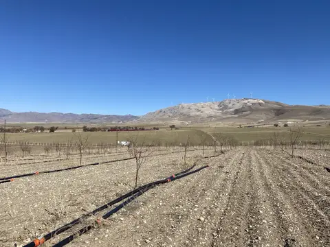 Sandıklı, Afyonkarahisar saha ziyareti (Mart 2021) — sera