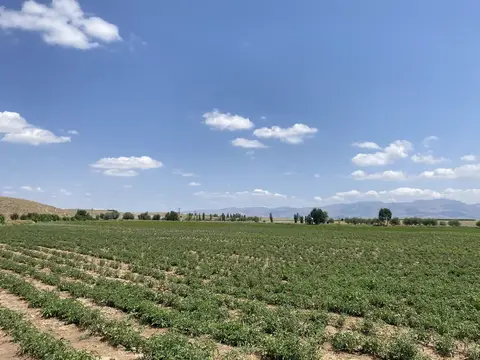 Sandıklı, Afyonkarahisar saha ziyareti (Ağustos 2022) — genel saha