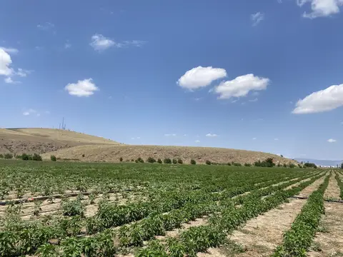 Sandıklı, Afyonkarahisar saha ziyareti (Ağustos 2022) — genel saha