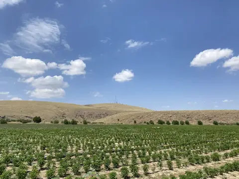 Sandıklı, Afyonkarahisar saha ziyareti (Ağustos 2022) — genel saha