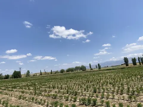 Sandıklı, Afyonkarahisar saha ziyareti (Ağustos 2022) — genel saha