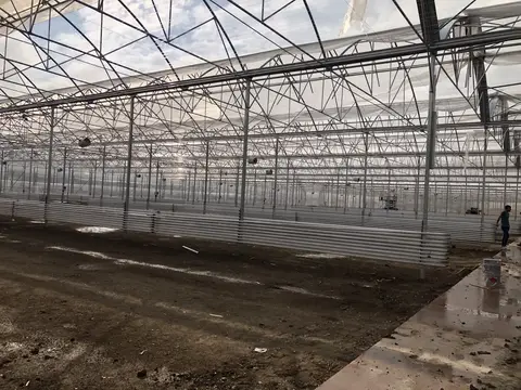 Ankara saha ziyareti (Ekim 2020) — sera