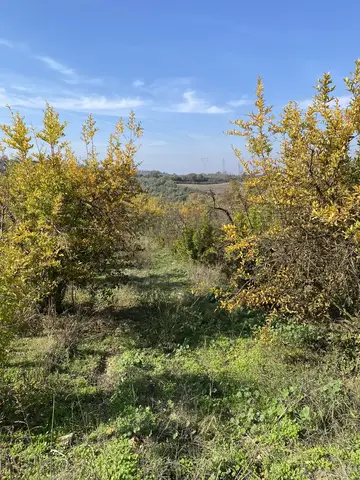 Aydın saha ziyareti (Kasım 2021) — elma