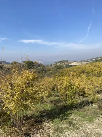 Aydın saha ziyareti (Kasım 2021) — elma