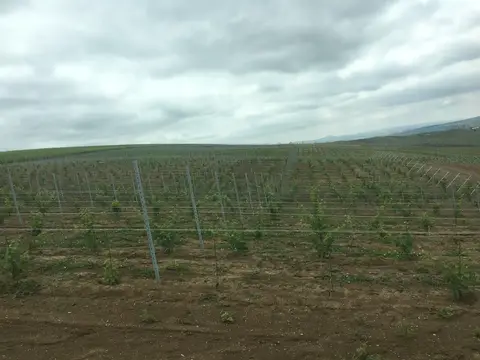 Azerbaycan saha ziyareti (Haziran 2017) — genel saha