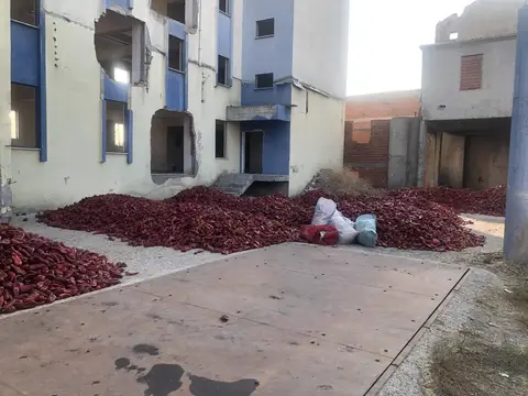 Balıkesir saha ziyareti (Eylül 2019) — biber