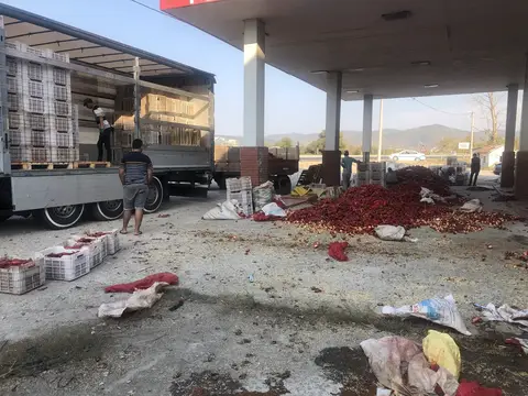 Balıkesir saha ziyareti (Eylül 2019) — biber
