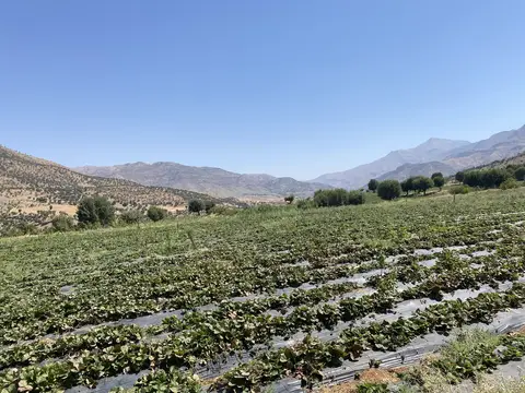 Sason, Batman saha ziyareti (Ağustos 2022) — genel saha