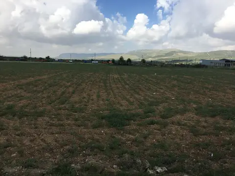 Denizli saha ziyareti (Mayıs 2017) — patates