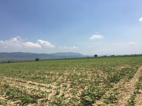 Denizli saha ziyareti (Haziran 2017) — genel saha
