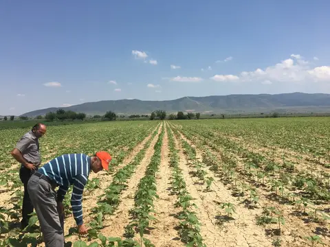 Denizli saha ziyareti (Haziran 2017) — genel saha