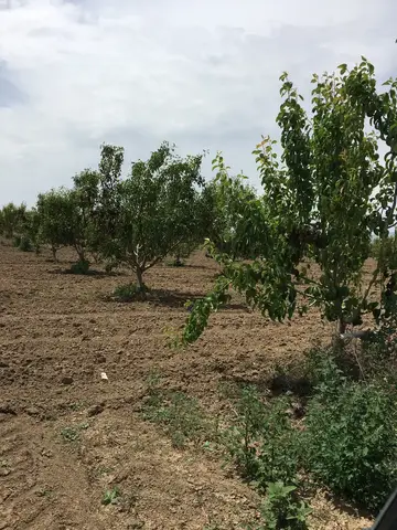 Denizli saha ziyareti (Haziran 2017) — genel saha