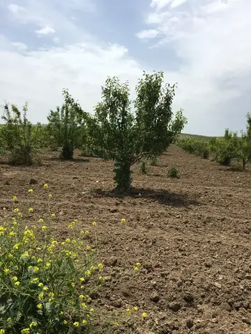 Denizli saha ziyareti (Haziran 2017) — genel saha