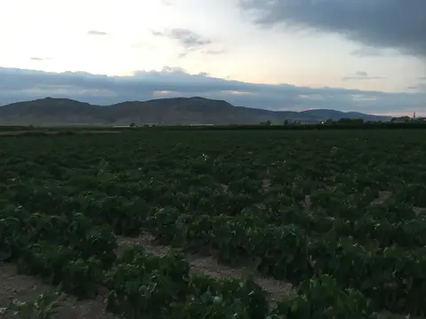 Denizli saha ziyareti (Temmuz 2019) — genel saha