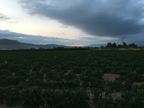 Denizli saha ziyareti (Temmuz 2019) — genel saha