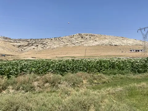 Diyarbakır saha ziyareti (Ağustos 2022) — genel saha