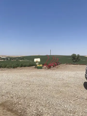 Sur, Diyarbakır saha ziyareti (Ağustos 2022) — pamuk