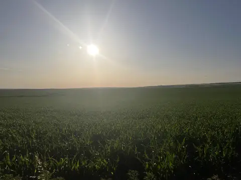 Diyarbakır saha ziyareti (Mayıs 2023) — genel saha