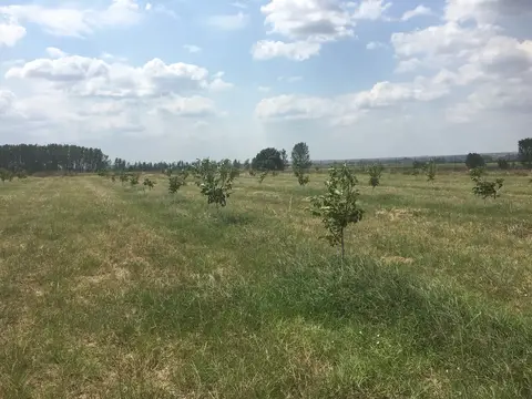Edirne saha ziyareti (Ağustos 2017) — genel saha