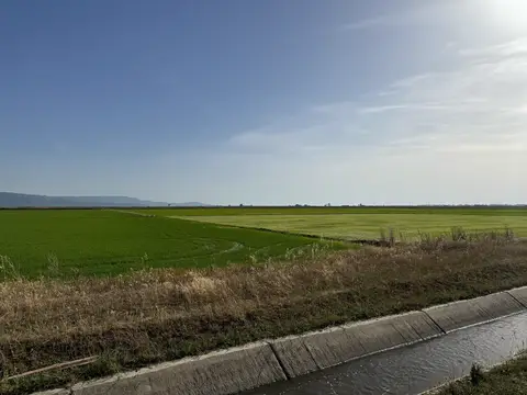 Edirne saha ziyareti (Haziran 2024) — genel saha