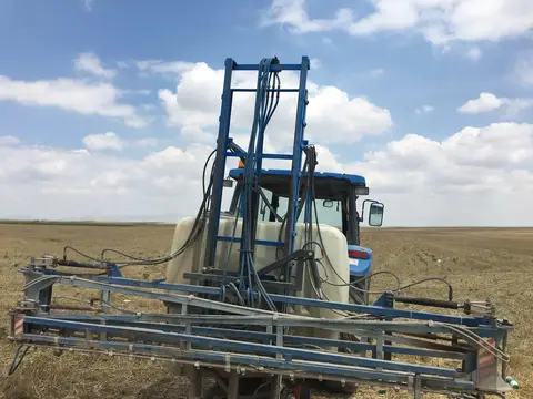 Eskişehir saha ziyareti (Temmuz 2019) — patates