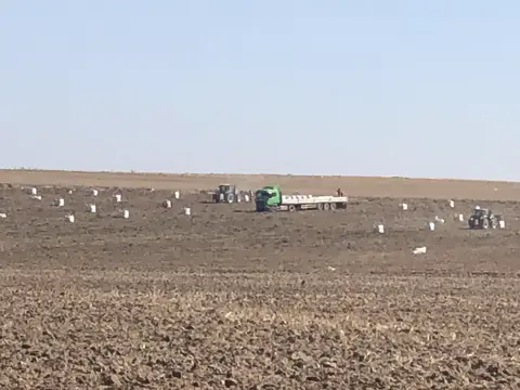 Eskişehir saha ziyareti (Ekim 2019) — patates