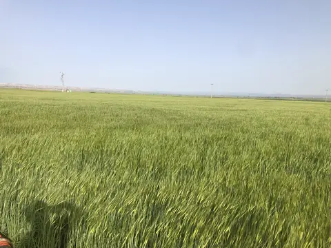 Tepebaşı, Eskişehir saha ziyareti (Mayıs 2020) — genel saha