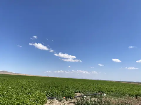 Odunpazarı, Eskişehir saha ziyareti (Ağustos 2022) — patates