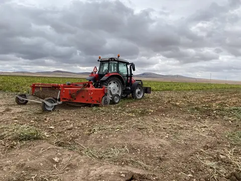 Odunpazarı, Eskişehir saha ziyareti (Eylül 2022) — soğan, patates