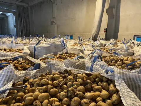 Odunpazarı, Eskişehir saha ziyareti (Eylül 2022) — soğan, patates