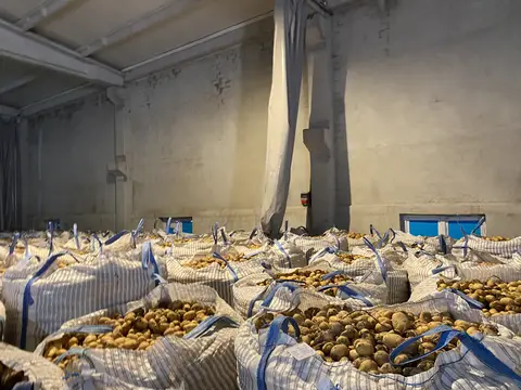 Odunpazarı, Eskişehir saha ziyareti (Eylül 2022) — soğan, patates