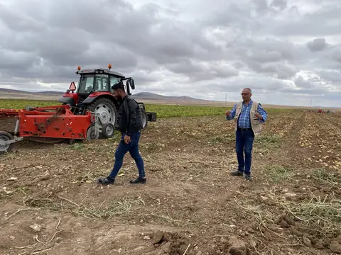 Odunpazarı, Eskişehir saha ziyareti (Eylül 2022) — soğan, patates