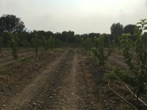 İzmir saha ziyareti (Ağustos 2016) — genel saha