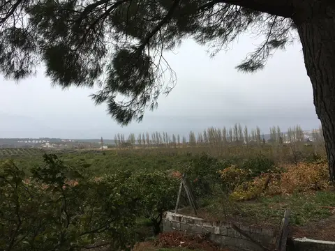 Seferihisar, İzmir saha ziyareti (Aralık 2016) — narenciye