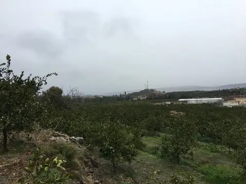 Seferihisar, İzmir saha ziyareti (Aralık 2016) — narenciye