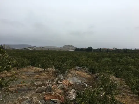 Seferihisar, İzmir saha ziyareti (Aralık 2016) — narenciye