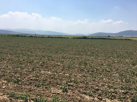 Menderes, İzmir saha ziyareti (Haziran 2017) — genel saha