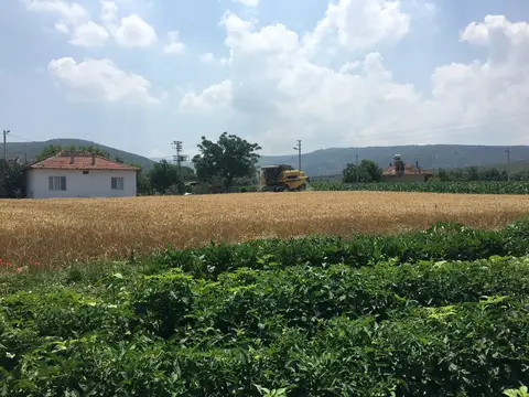 Menderes, İzmir saha ziyareti (Haziran 2017) — genel saha